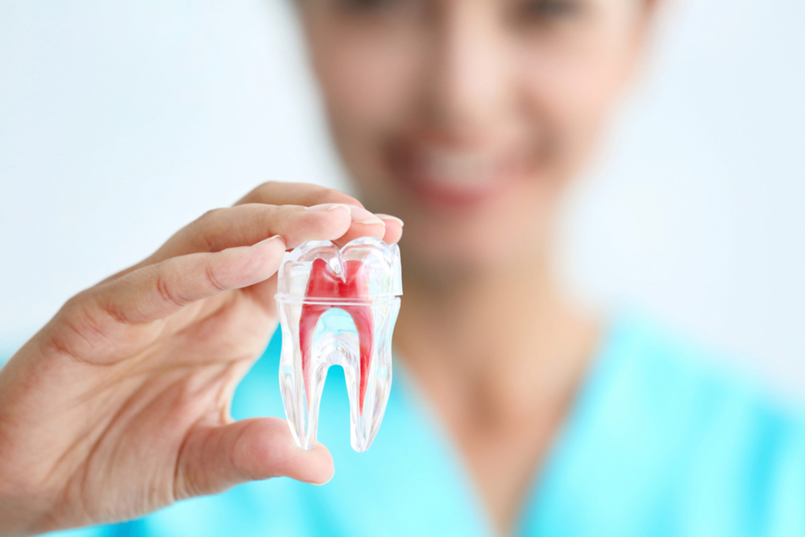 How Long Does A Root Canal Take?